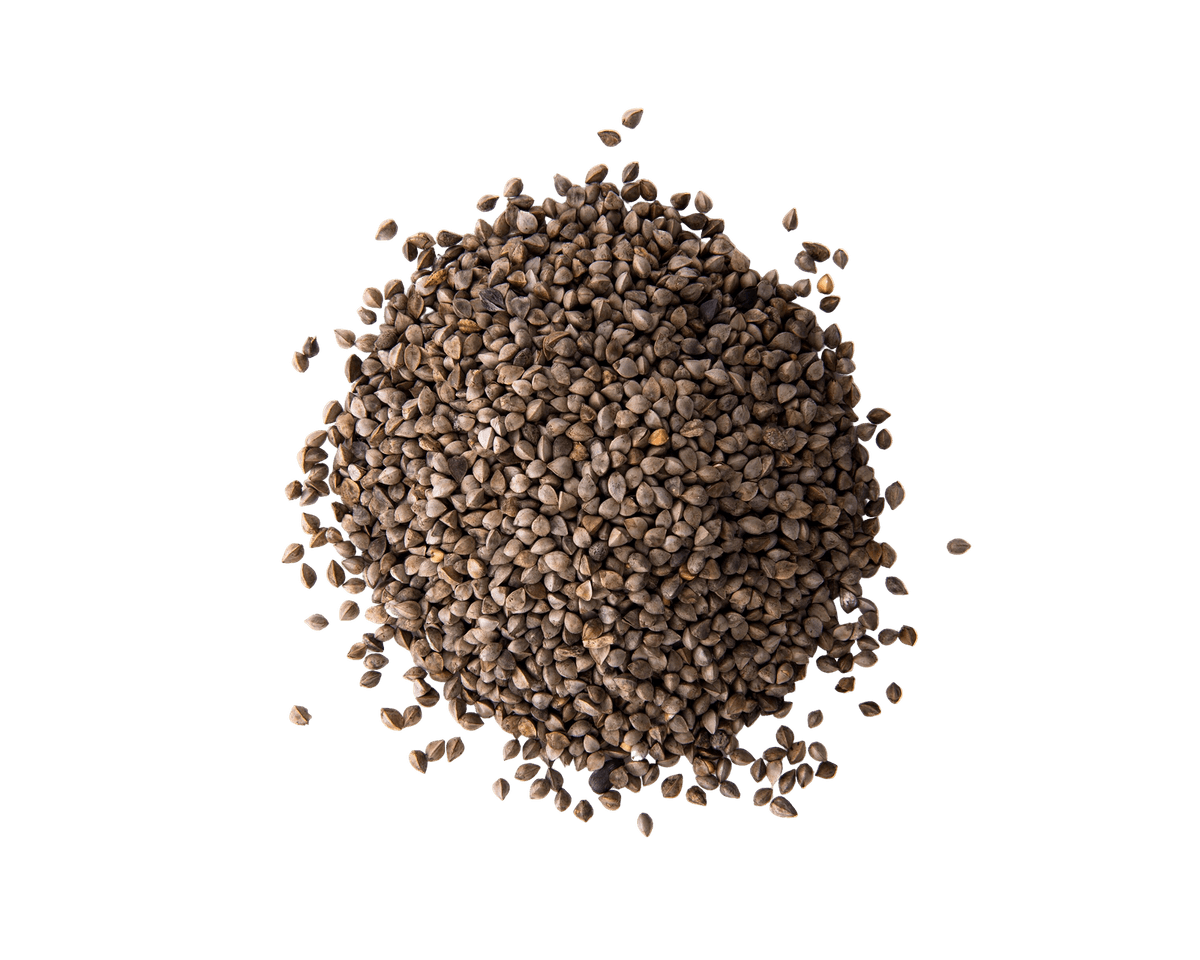 Lekali Perilla Seeds