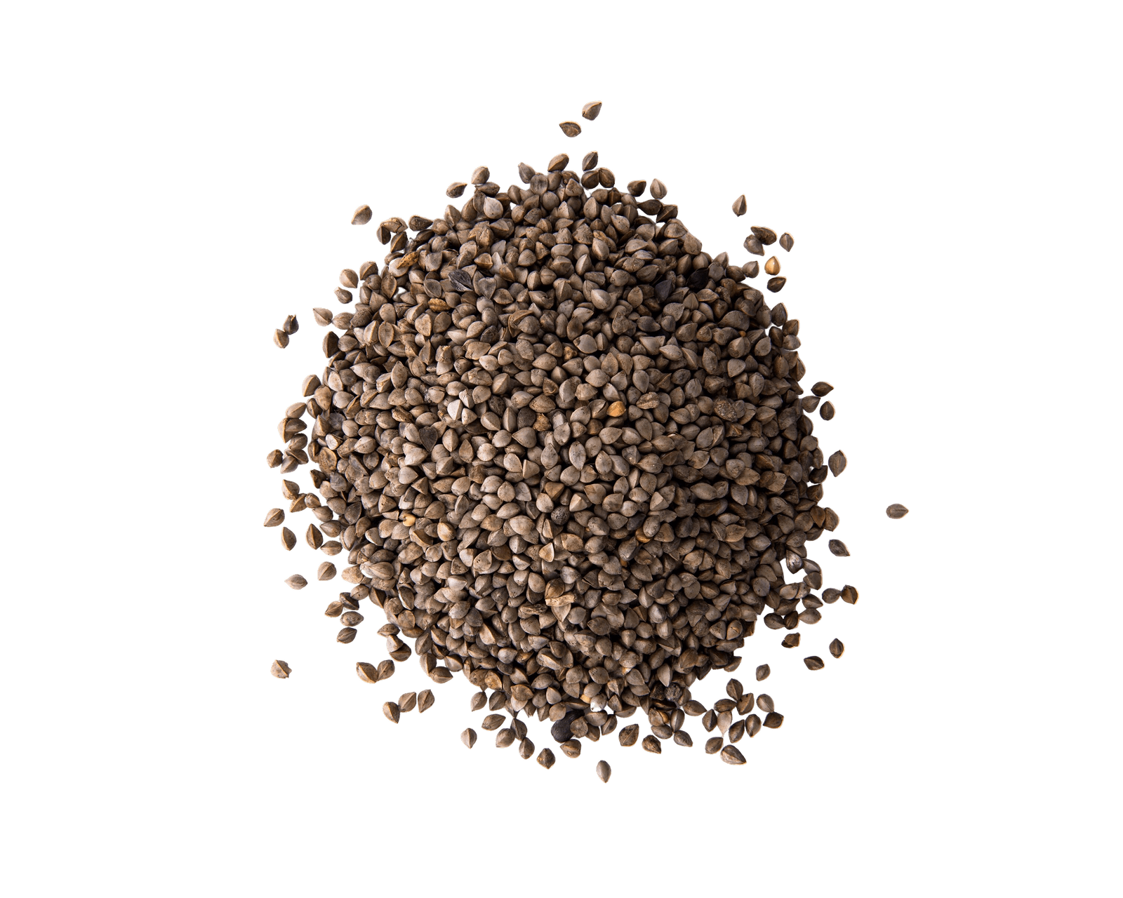 Lekali Perilla Seeds